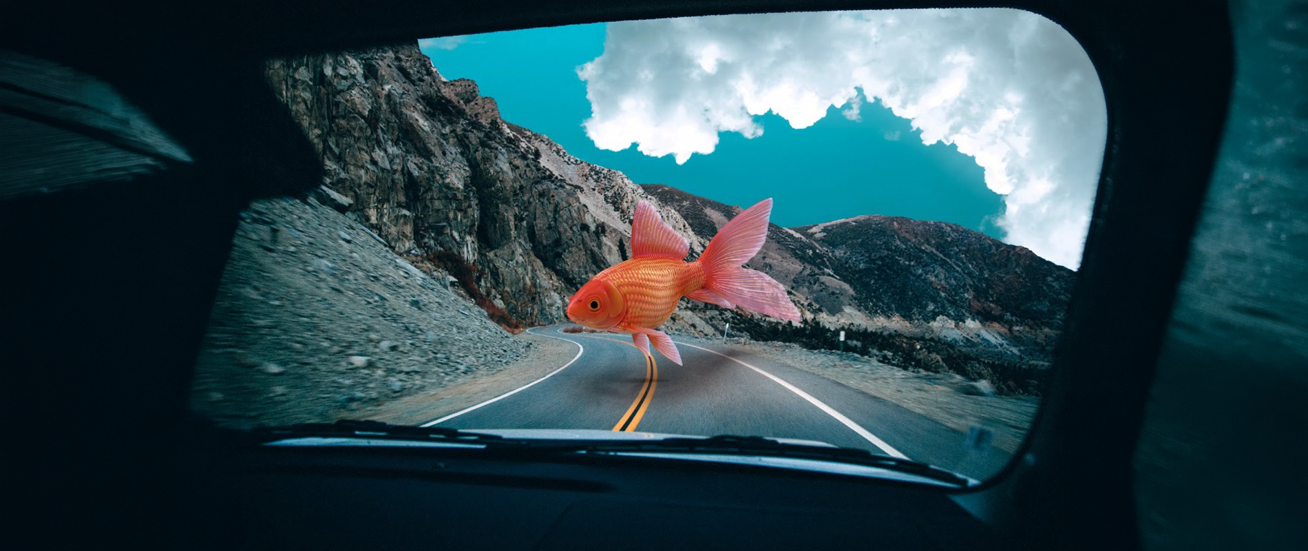 De onde vêm os sonhos — e por que a Surrealizze existe