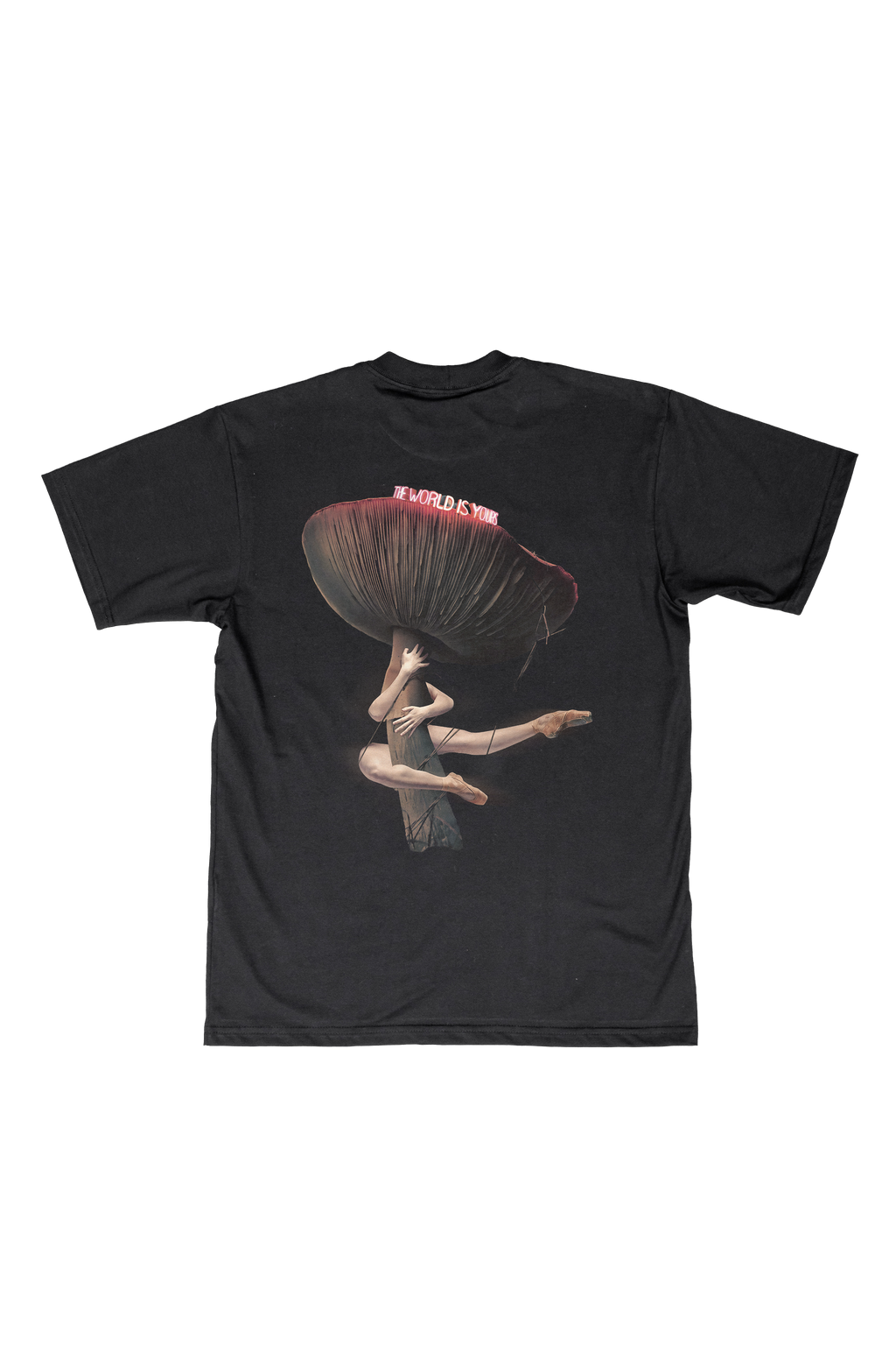 Camiseta The World is Yours
