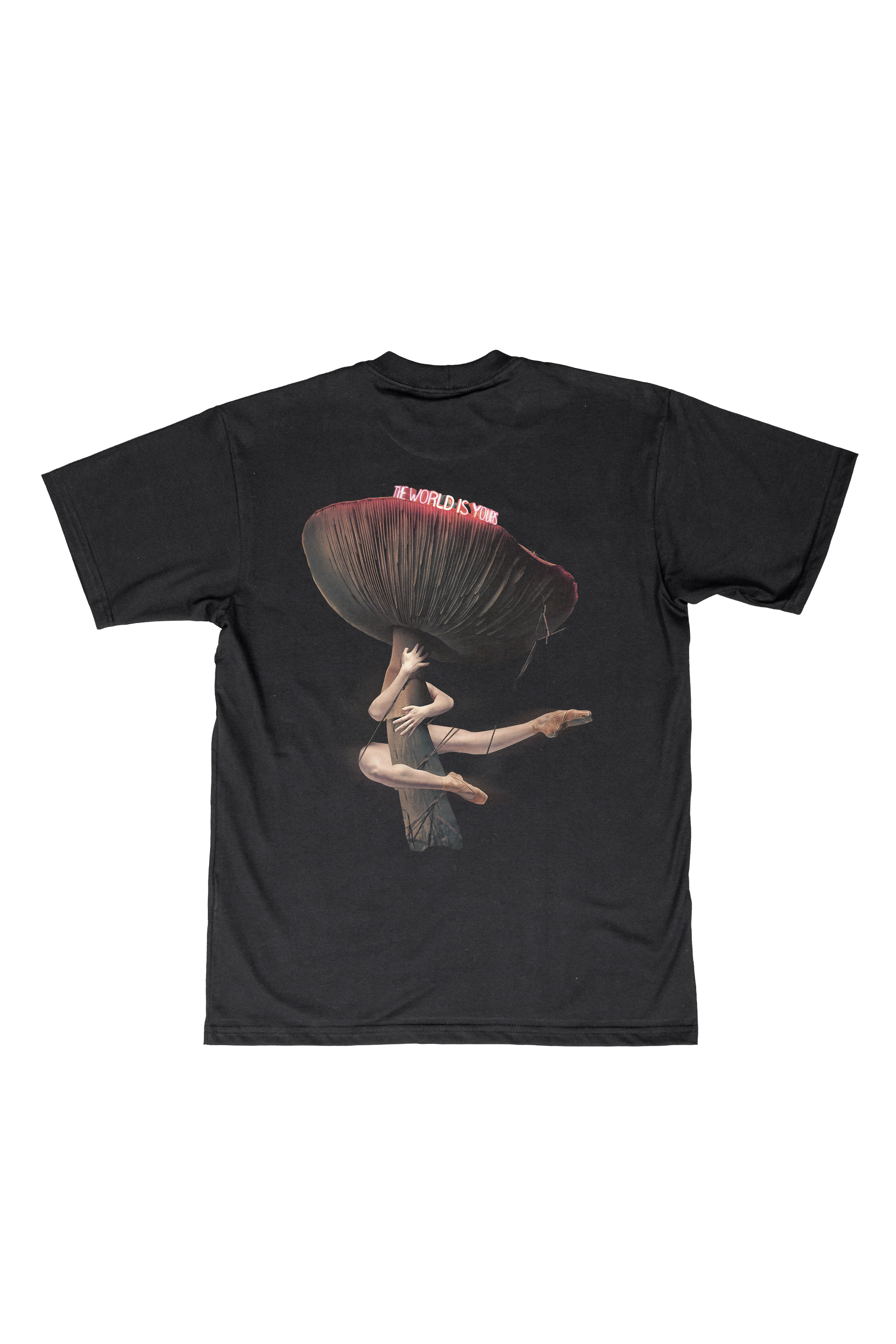 Camiseta The World is Yours